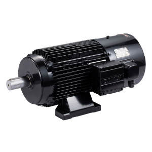 Động Cơ Đồng Bộ Nam Châm Vĩnh Cửu Hiệu Suất Cao (Servo) Dòng DMP
